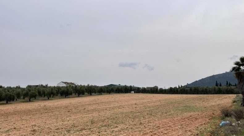 Málaga - Mollina - 5167m2
