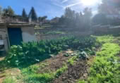 Parcel·la urbanitzable en venda a la España, Olesa de Bonesvalls, ref.: TR121025 foto