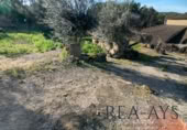 Parcel·la urbanitzable en venda a la España, Olesa de Bonesvalls, ref.: TR121025 foto