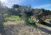 Parcel·la urbanitzable en venda a la España, Olesa de Bonesvalls, ref.: TR121025 foto