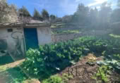 Parcel·la urbanitzable en venda a la España, Olesa de Bonesvalls, ref.: TR121025 foto