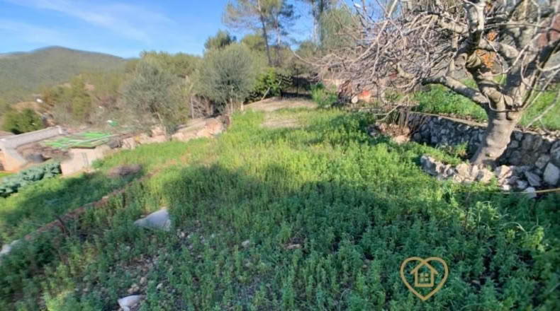 Barcelona - Olesa de Bonesvalls - 609m2
