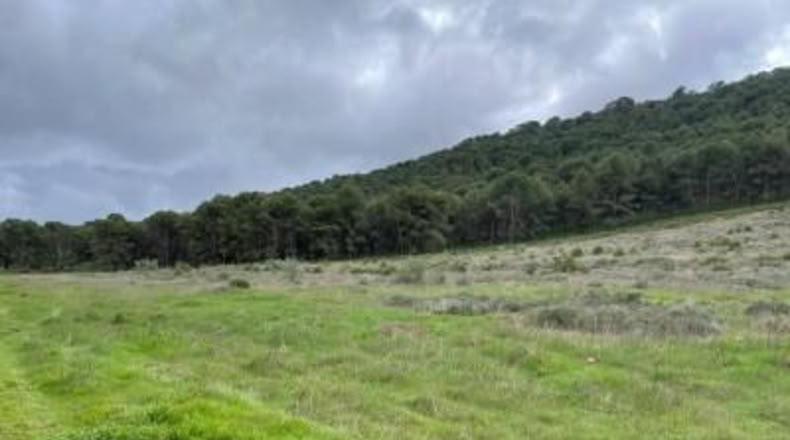Málaga - Humilladero - 38150m2