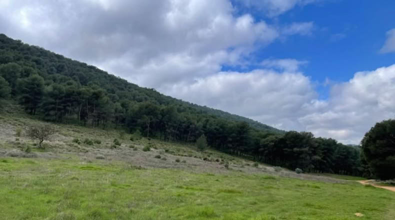 Málaga - Humilladero - 38150m2