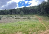Terreno no urbanizable en venta en la España, Humilladero, ref: TR314896 foto