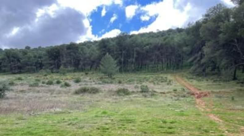 Málaga - Humilladero - 38150m2