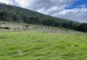 Terreno no urbanizable en venta en la España, Humilladero, ref: TR314896 foto
