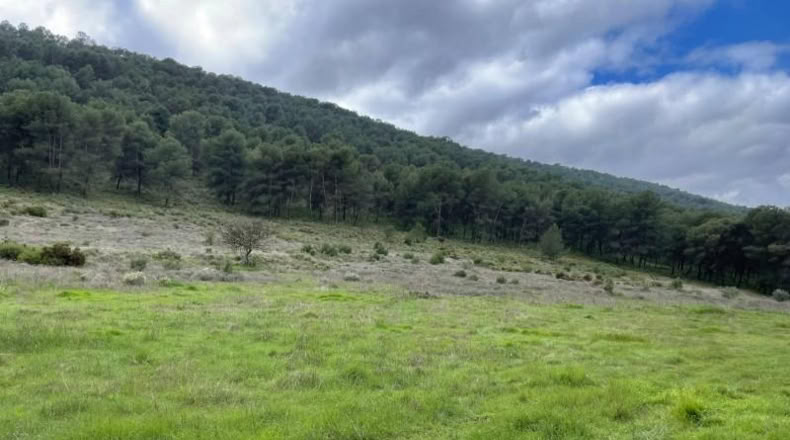 Málaga - Humilladero - 38150m2