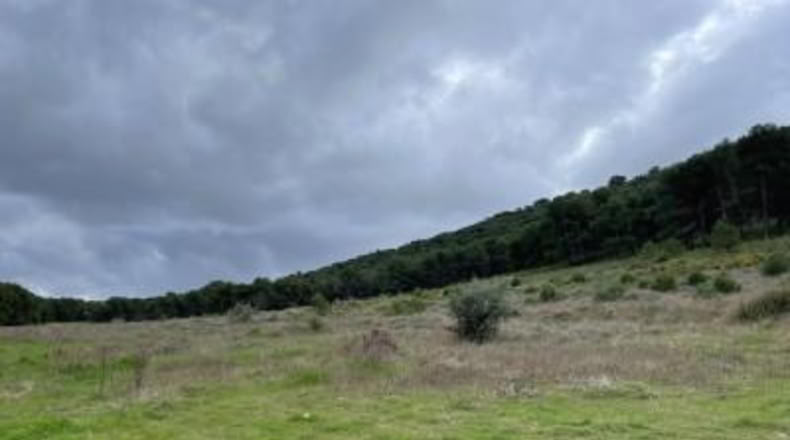 Málaga - Humilladero - 38150m2