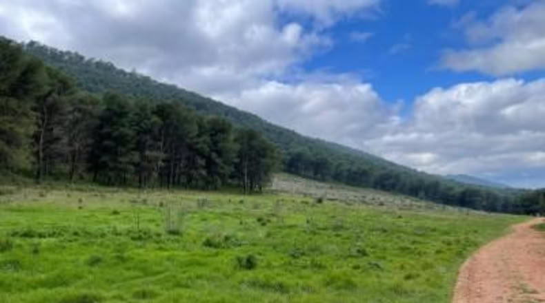 Málaga - Humilladero - 38150m2