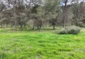 Terreno no urbanizable en venta en la España, Humilladero, ref: TR314896 foto