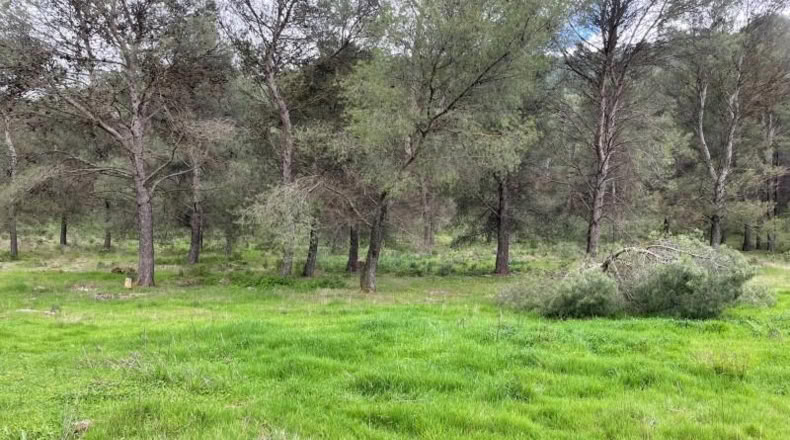 Málaga - Humilladero - 38150m2