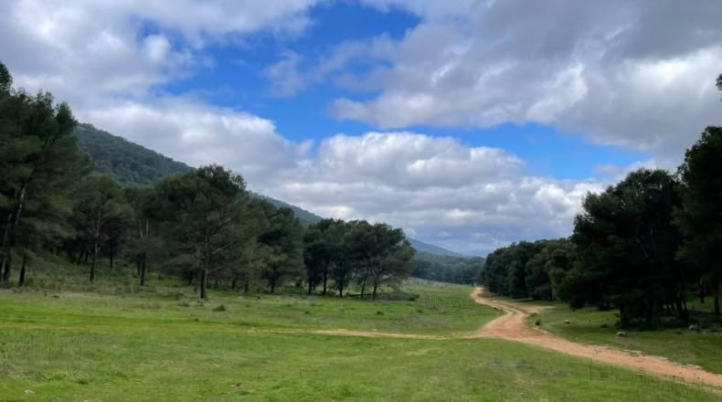 Málaga - Humilladero - 38150m2