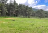 Terreno no urbanizable en venta en la España, Humilladero, ref: TR314896 foto