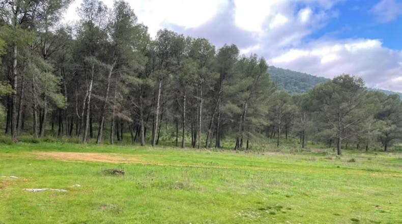 Málaga - Humilladero - 38150m2