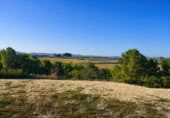Casa de camp amb terreny en venda a la España, Albaida, ref.: TR323833 foto
