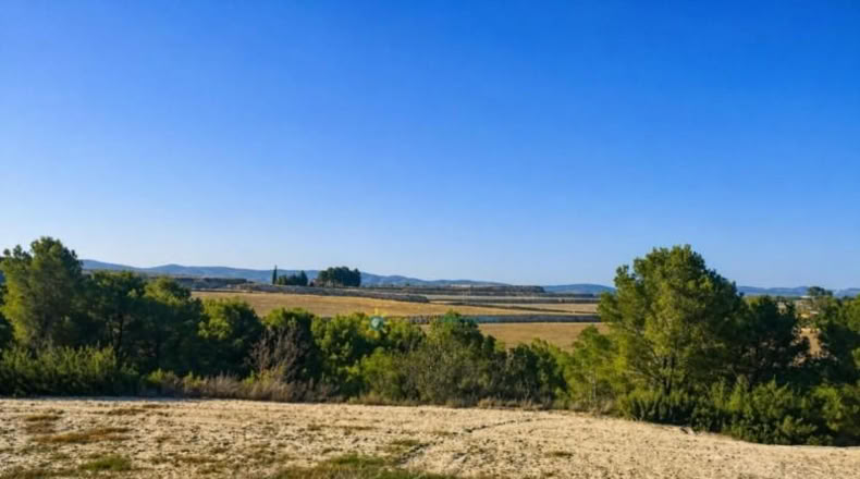 Валенсия - Albaida - 33000m2