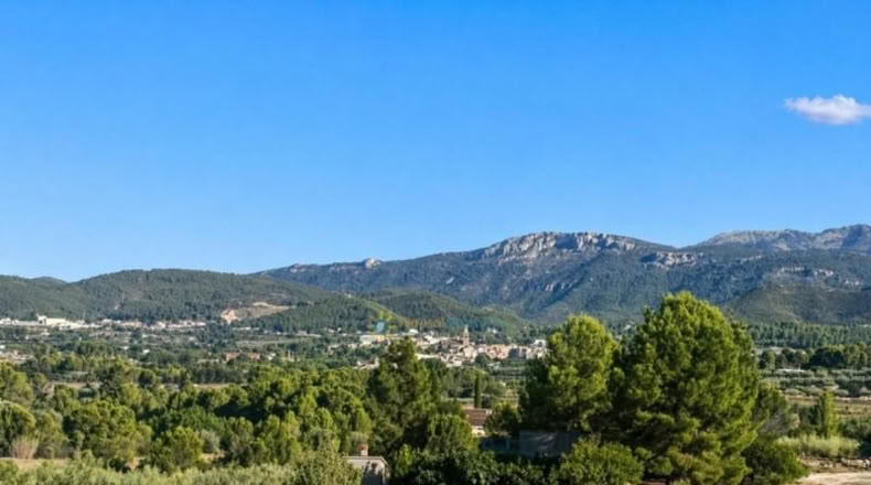 Валенсия - Albaida - 33000m2