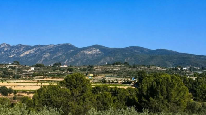 Валенсия - Albaida - 33000m2