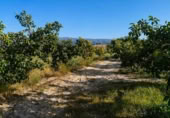 Casa de camp amb terreny en venda a la España, Albaida, ref.: TR323833 foto