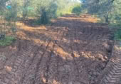 Terreny no urbanitzable en venda a la España, Bormujos, ref.: TR405691 foto
