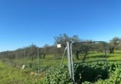 Terreny no urbanitzable en venda a la España, Bormujos, ref.: TR405691 foto