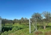 Terreny no urbanitzable en venda a la España, Bormujos, ref.: TR405691 foto