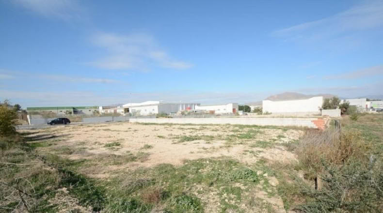 Alicante - Bigastro - 776m2