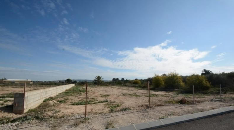 Alicante - Bigastro - 776m2