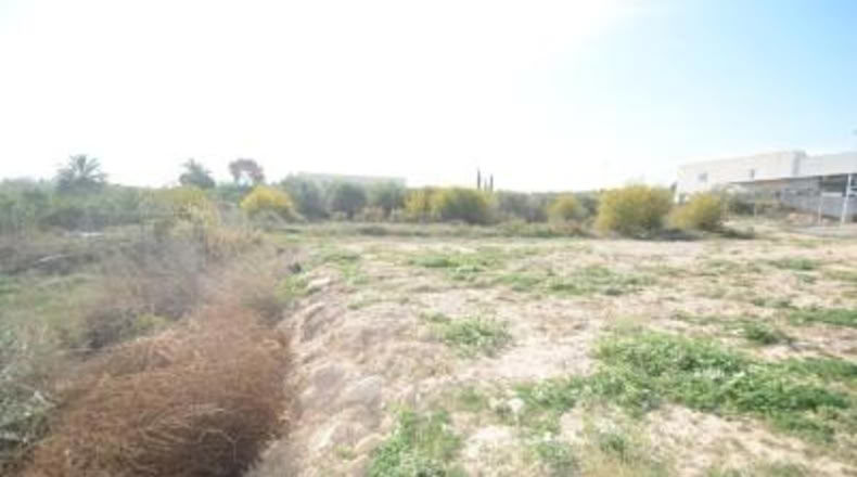 Alicante - Bigastro - 776m2