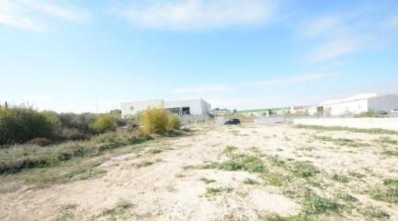 Alicante - Bigastro - 776m2