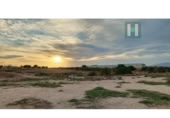 Chalet independiente con terreno en venta en la España, Torre-Pacheco, ref: TR403392 foto