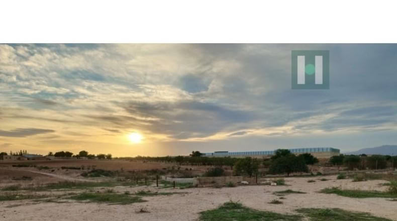 Murcia - Torre-Pacheco - 300m2