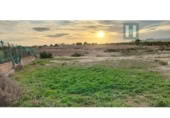 Chalet independiente con terreno en venta en la España, Torre-Pacheco, ref: TR403392 foto