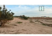 Chalet independiente con terreno en venta en la España, Torre-Pacheco, ref: TR403392 foto