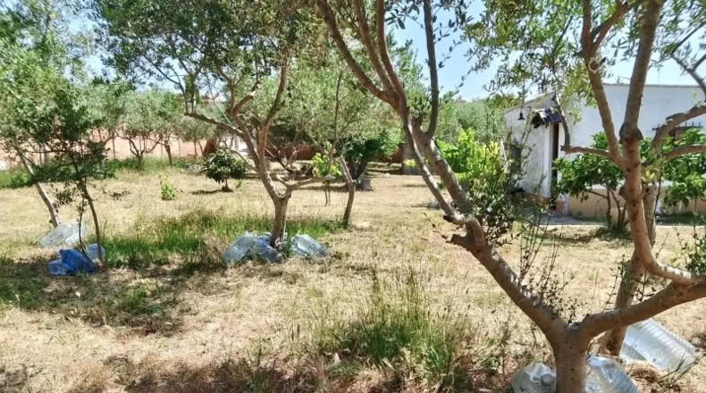 Barcelona - Sant Llorenç d'Hortons - 1m2