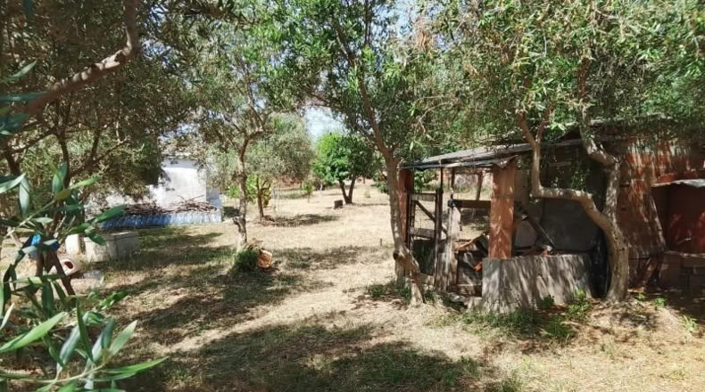 Barcelona - Sant Llorenç d'Hortons - 1m2