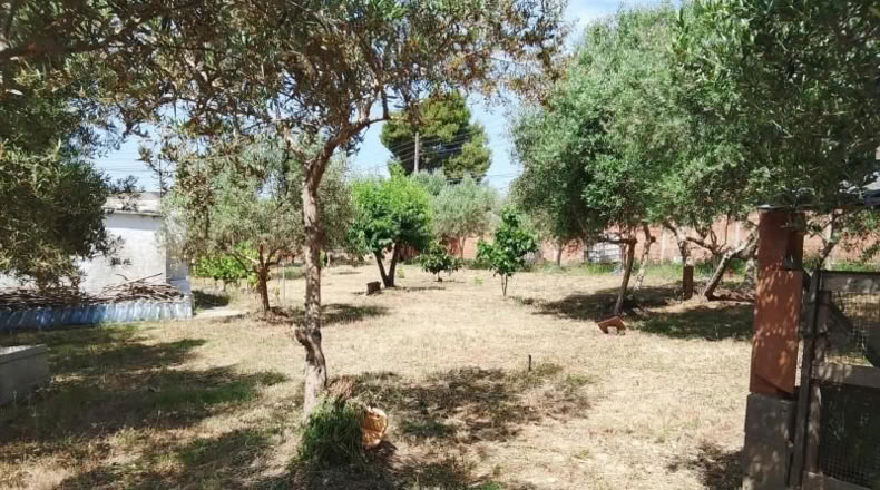 Barcelona - Sant Llorenç d'Hortons - 1m2
