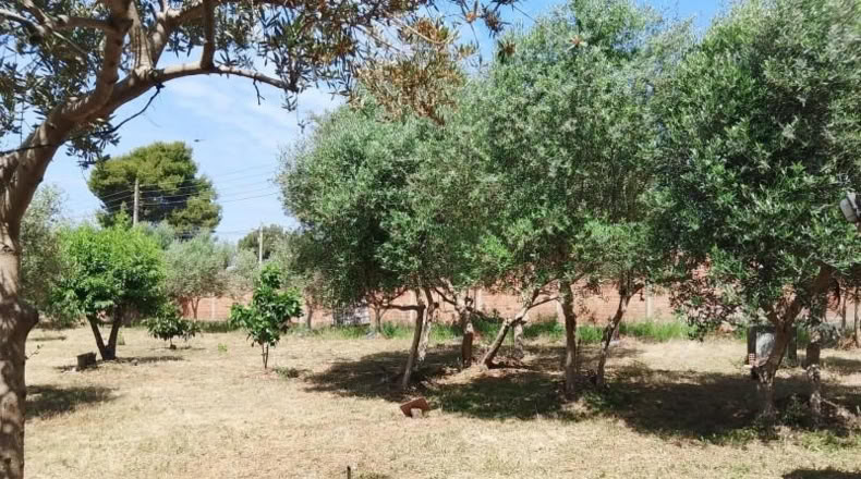 Barcelona - Sant Llorenç d'Hortons - 1m2