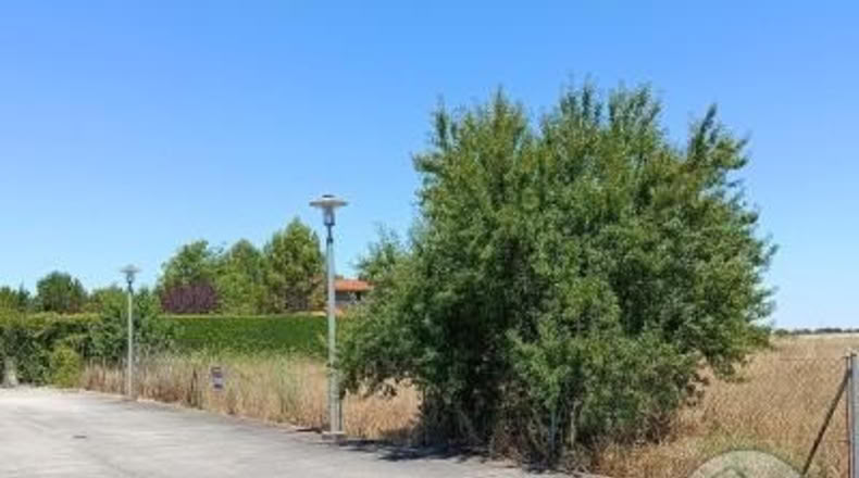 Valladolid - La Cistérniga - 2052m2