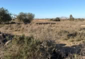 Sòl urbà en venda a la España, La Marina, ref.: TR388030 foto