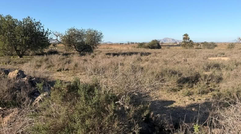 Asturias - La Marina - 25000m2