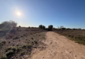 Sòl urbà en venda a la España, La Marina, ref.: TR388030 foto