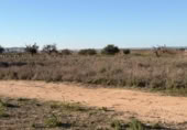 Sòl urbà en venda a la España, La Marina, ref.: TR388030 foto