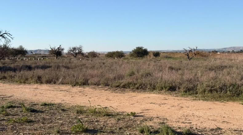 Asturias - La Marina - 25000m2