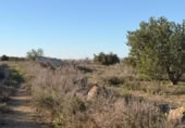 Sòl urbà en venda a la España, La Marina, ref.: TR388030 foto