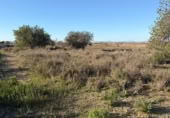 Sòl urbà en venda a la España, La Marina, ref.: TR388030 foto