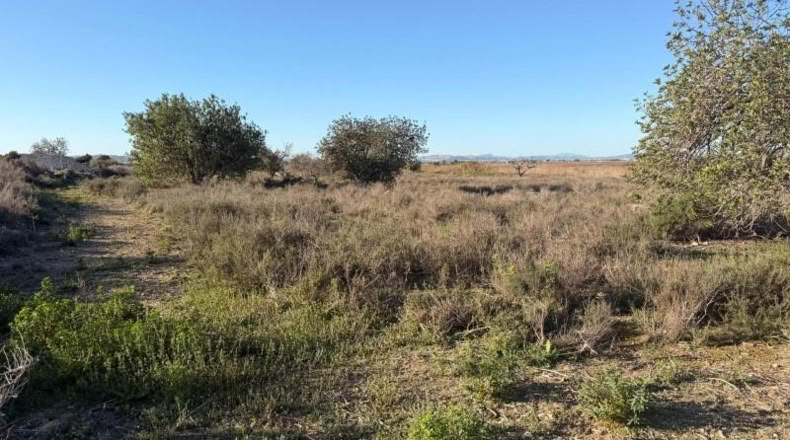 Asturias - La Marina - 25000m2