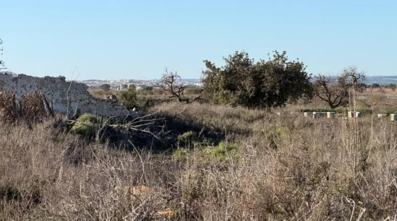 Asturias - La Marina - 25000m2