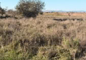 Sòl urbà en venda a la España, La Marina, ref.: TR388030 foto